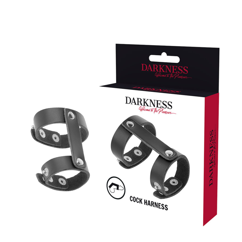 DARKNESS – LEATHER ADJUSTABLE PENIS AND TESTICLE RING