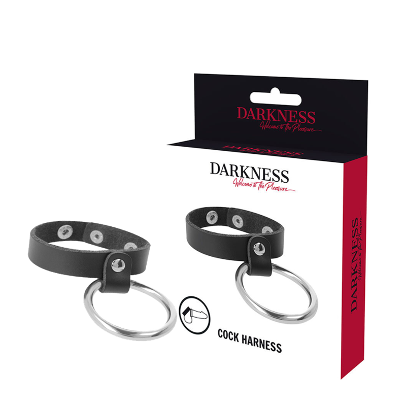 DARKNESS – METAL RING FOR THE PENIS AND TESTICLES