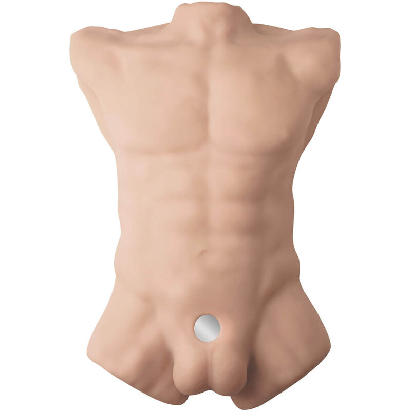 SILEXD – APOLLO L REALISTIC MALE TORSO