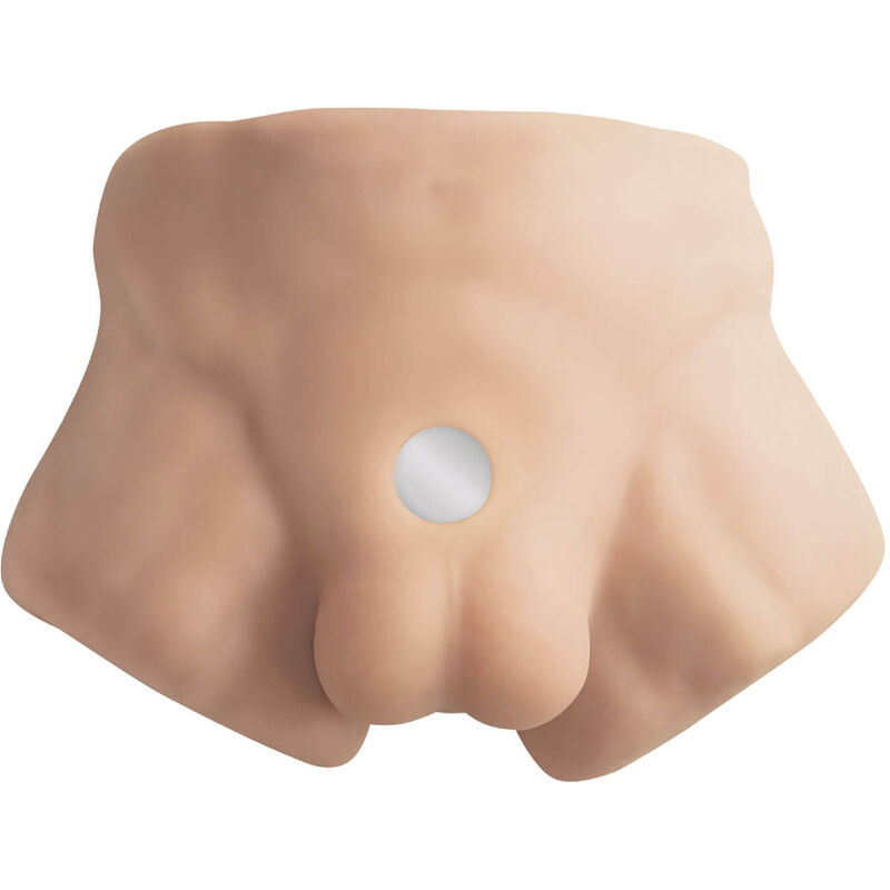 SILEXD – APOLLO S REALISTIC MALE LOWER TORSO