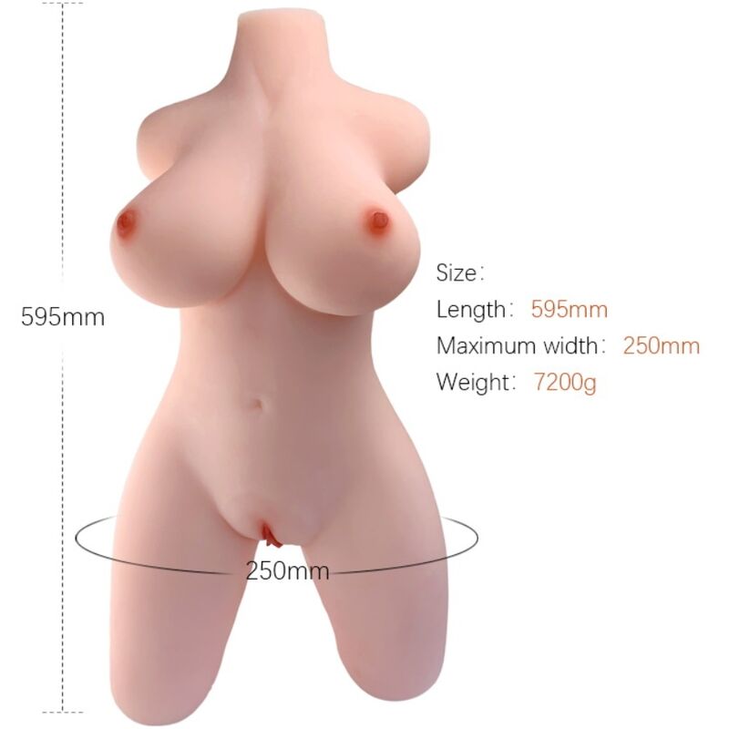 ARMONY – REALISTIC FEMALE TORSO MODEL 2
