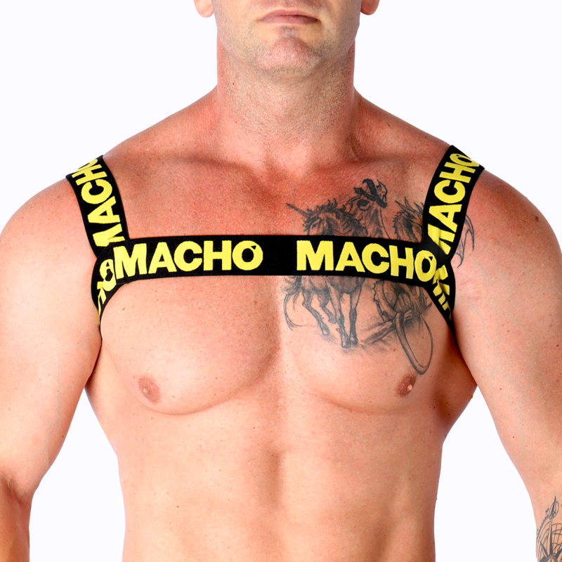 MACHO – DOUBLE YELLOW HARNESS