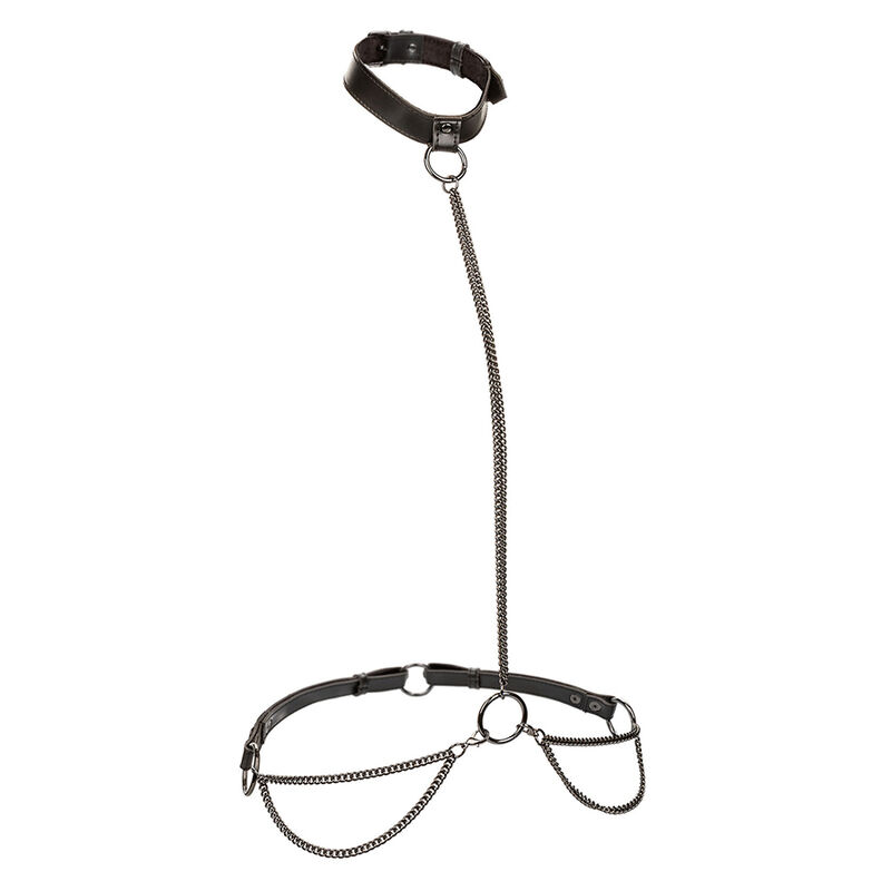 CALEXOTICS – EUPHORIA CHAIN HALTER COLLAR  LEASH PLUS SIZE