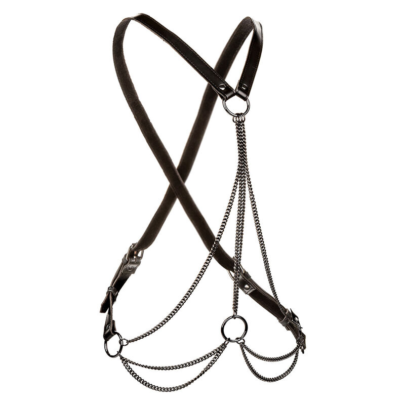 CALEXOTICS – EUPHORIA MULTICHAIN HARNESS PREMIUM PLUS SIZE