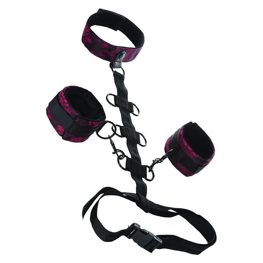 CALEXOTICS – SCANDAL COMPORAL SUPPORT WITH NECK