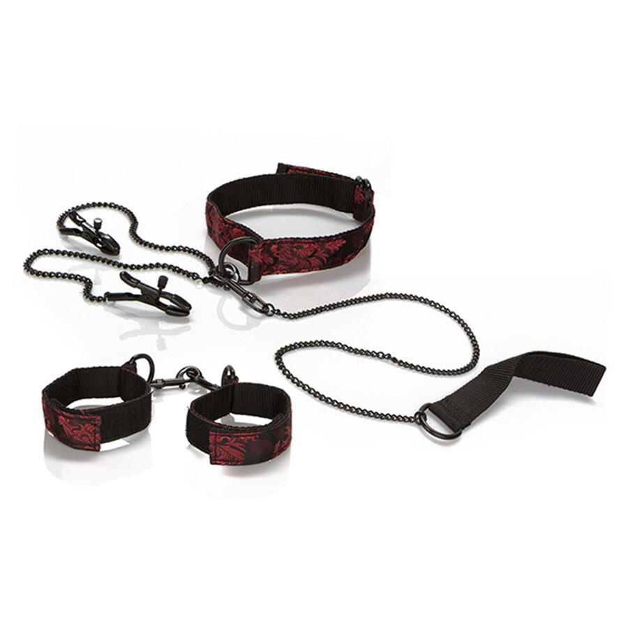 CALEXOTICS – SCANDAL SUBMISSION KIT