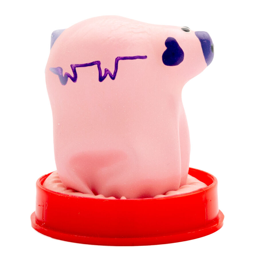 CONDOMERIE – HANDPAINTED NOVELTY CONDOMS SMALL PIG