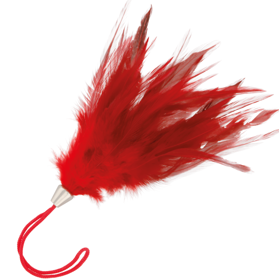 DARKNESS – RED STIMULATING PEN 17CM