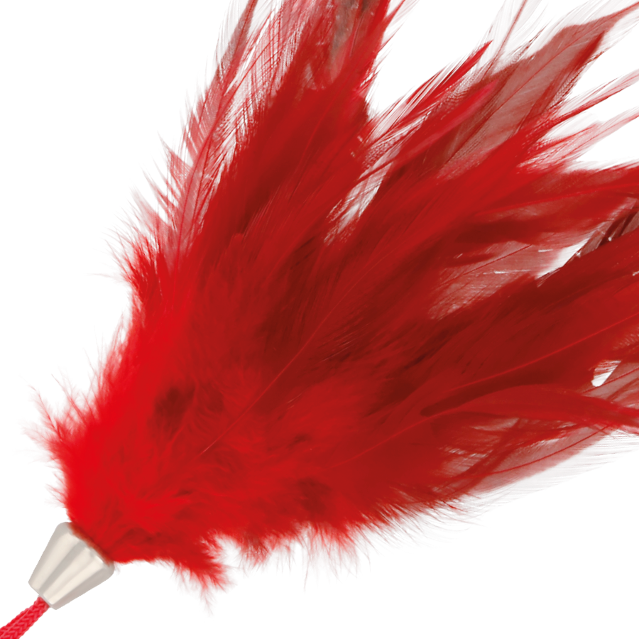 DARKNESS – RED STIMULATING PEN 17CM