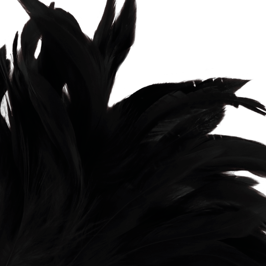DARKNESS – BLACK LUX STIMULATING PEN