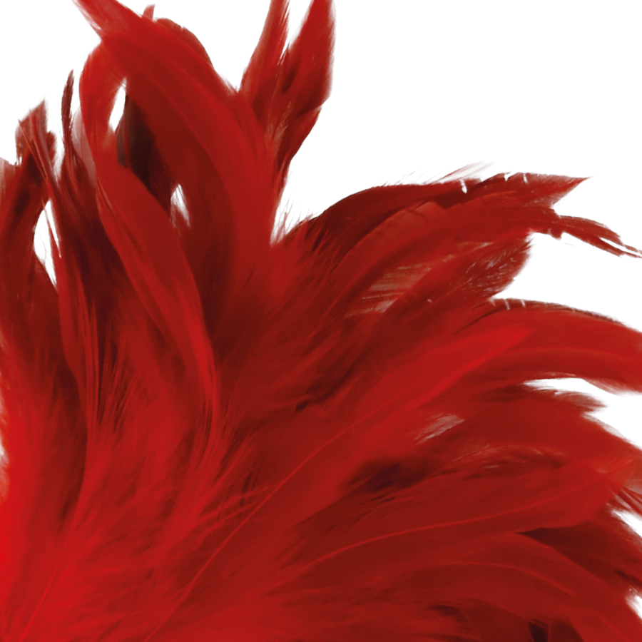 DARKNESS – RED STIMULATING PEN 24CM