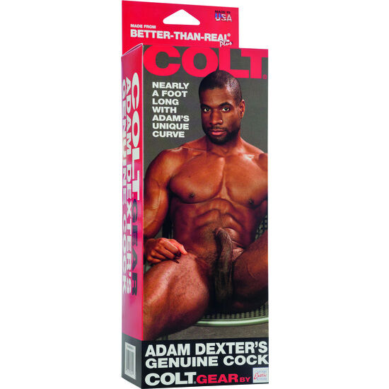 CALEXOTICS – COLT ADAM DEXTERS COCK